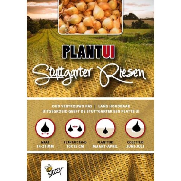 Plantuien 'Stuttgarter Riesen' -0